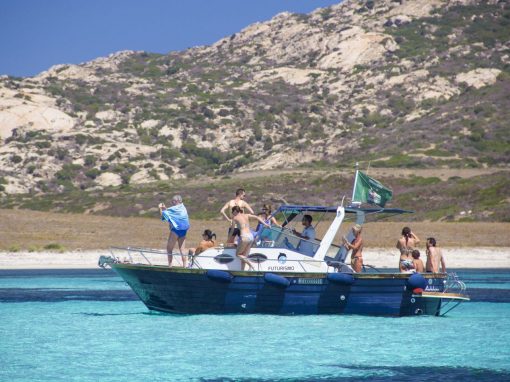 Escursione Asinara Sea Safari in Barca