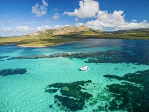 Escursioni all'Asinara in Catamarano