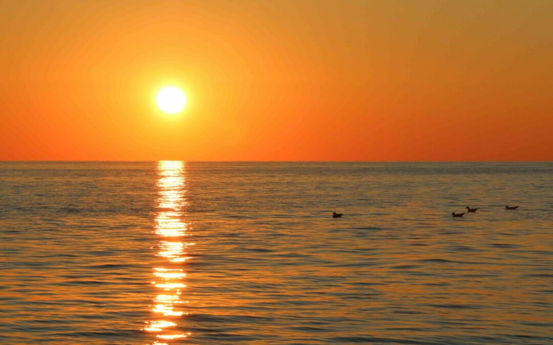 tramonto asinara escursioni