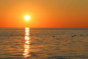 escursione asinara tramonto