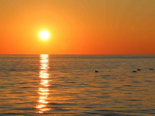 Escursione all’Asinara al tramonto in Catamarano con aperitivo