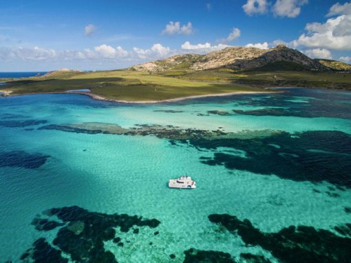 Full day guided tour, a whole day in the sea of Asinara