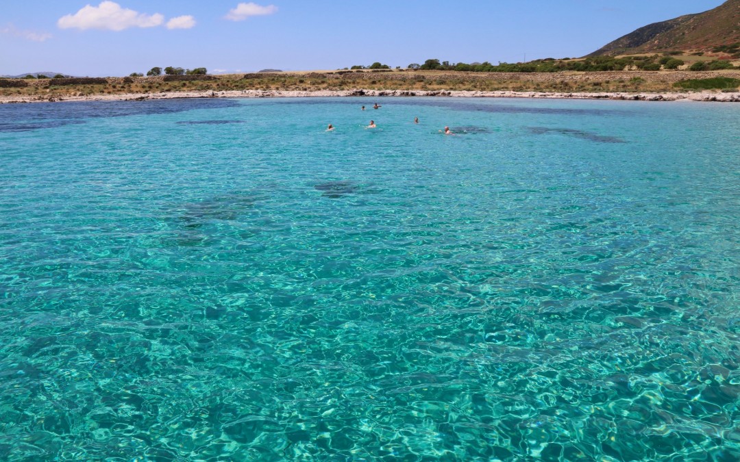 Escursioni naturalistiche in barca nel Parco Nazionale dell’Asinara, Sardegna.