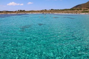 Escursioni naturalistiche barca Asinara.