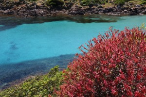 come visitare il parco nazionale dell'asinara