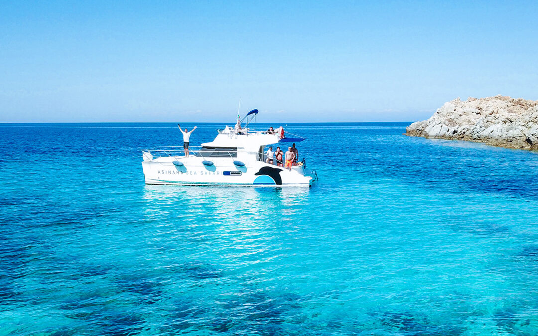 catamarano-asinara