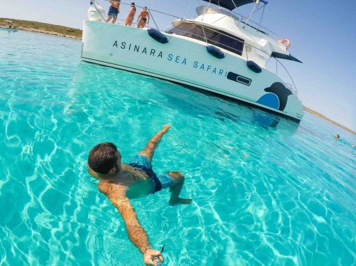 Asinara Sea Safari Boat Trips