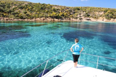 Escursioni Guidate Asinara Sea Safari Mezza Giornata in Catamarano