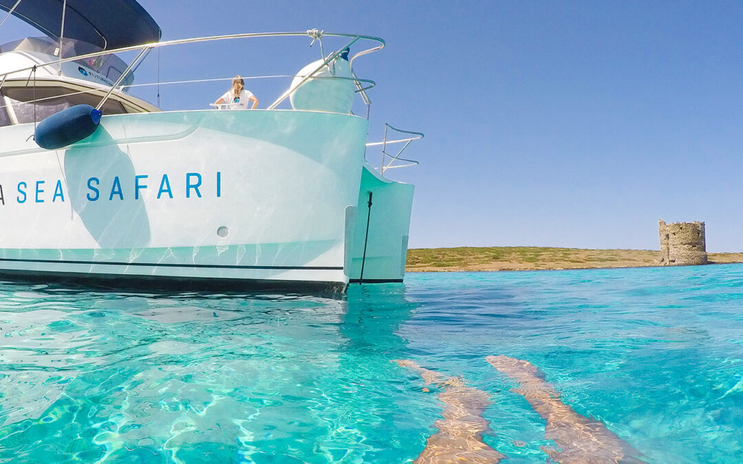 piscine-naturali-asinara