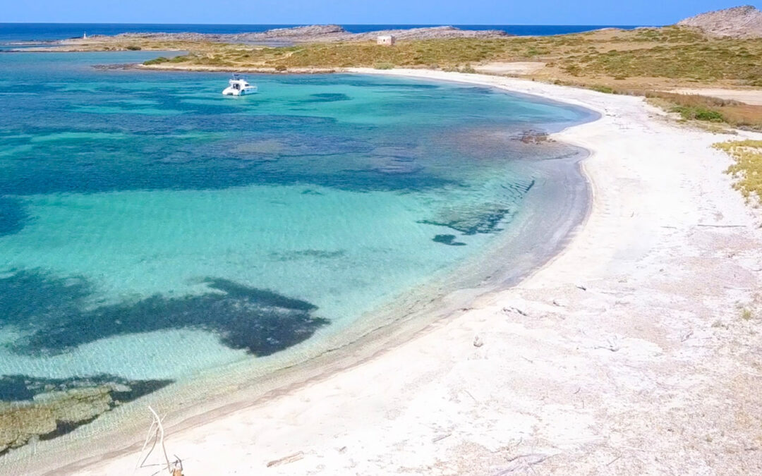 spalmadori-asinara-escursioni