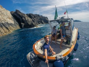 escursione sea safari asinara