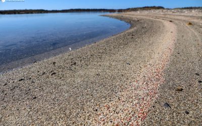 I dettagli che fanno la differenza, Parco Nazionale dell’Asinara