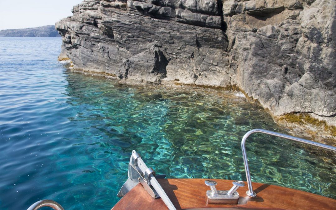 La vita nel sottocosta, un immenso mondo da scoprire. Isola dell’Asinara.