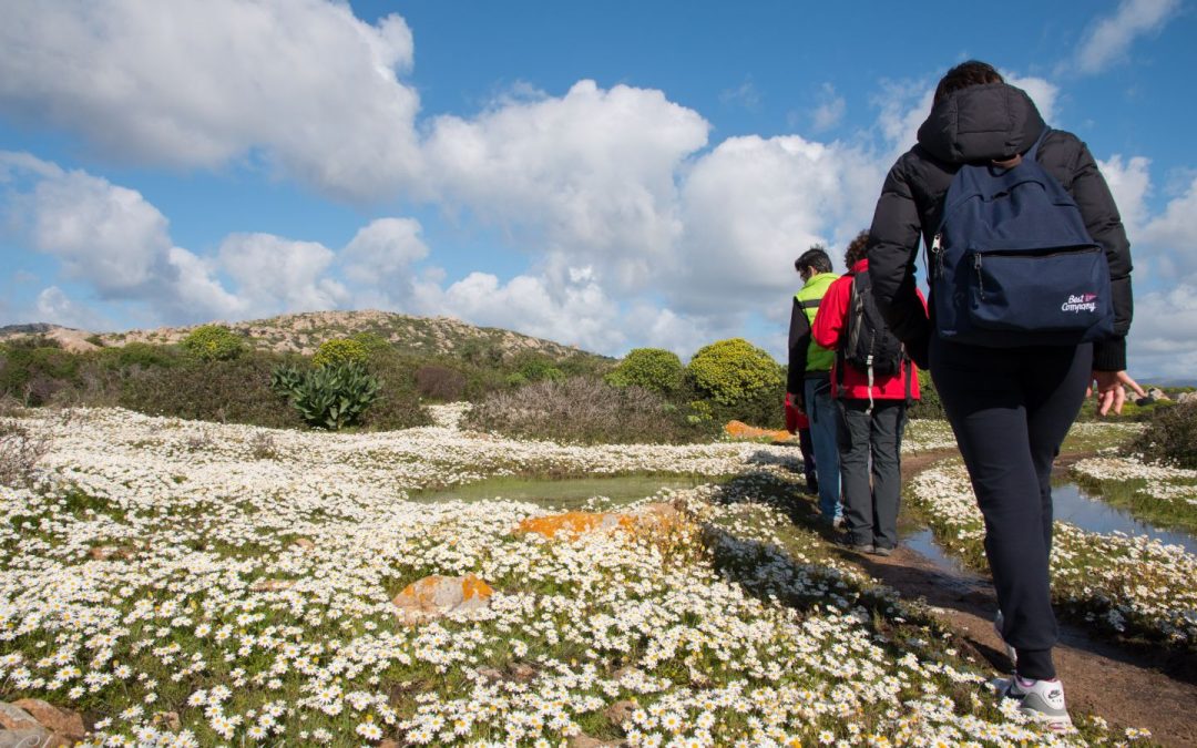 Trekking Asinara Sentiero del Granito