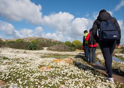 Trekking Asinara Sentiero del Granito