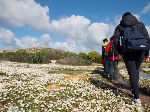 Trekking Asinara Sentiero del Granito