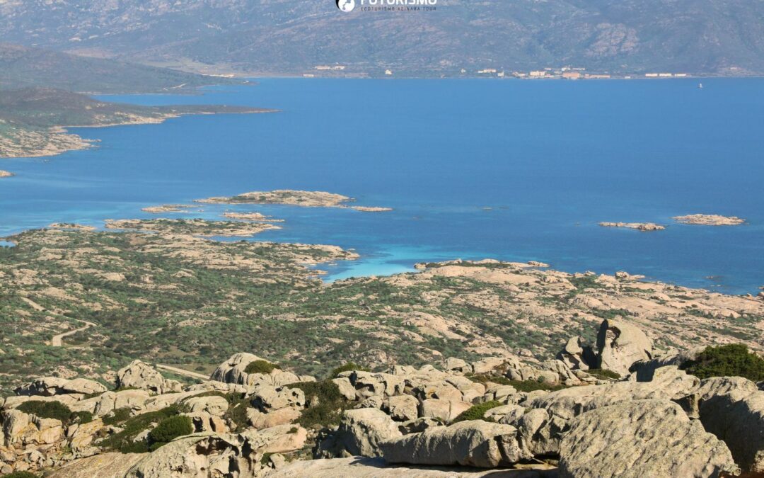 Escursioni Asinara