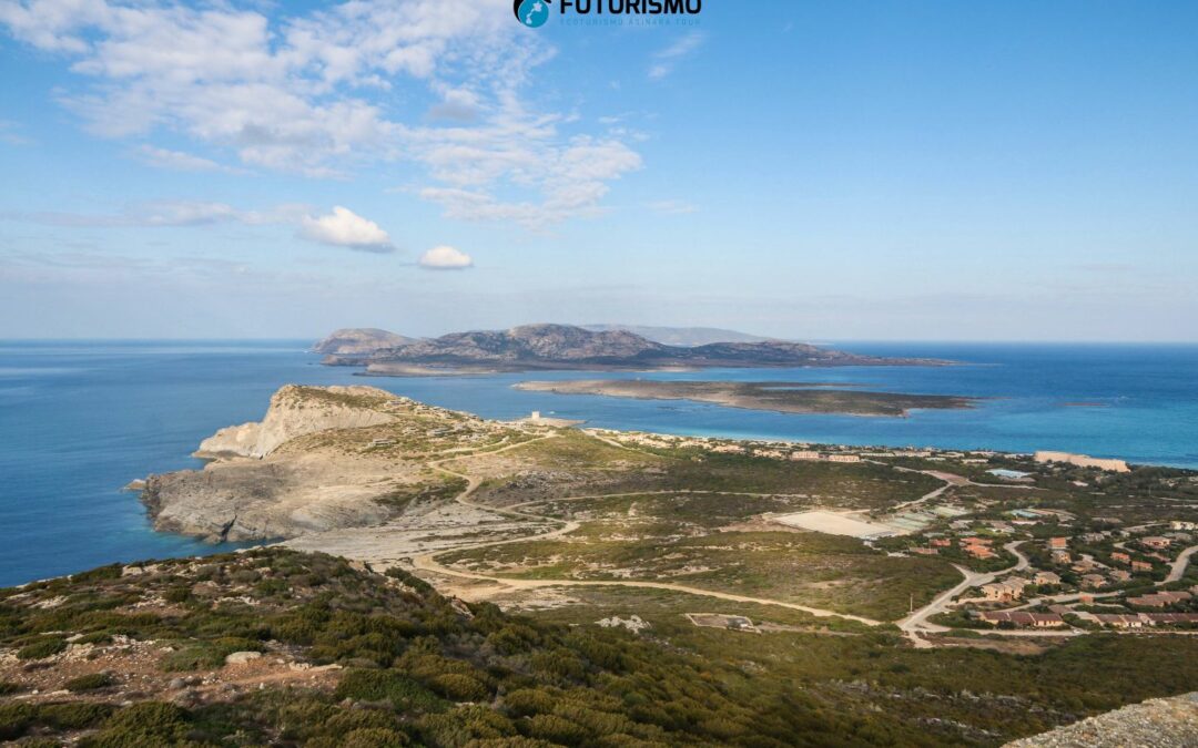 vista dalla torre di capo falcone