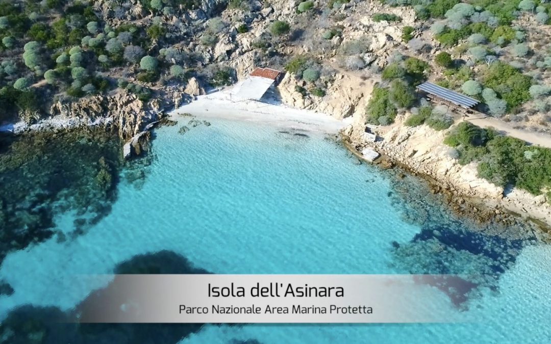 Isola dell’Asinara perla del Mediterraneo  Sardegna  Italia