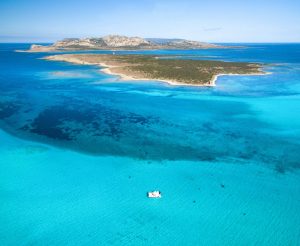 Escursioni Asinara