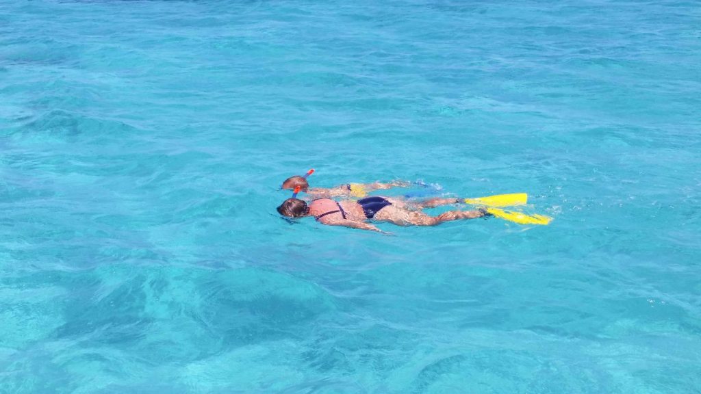 snorkeling nelle acque turchesi del parco asinara