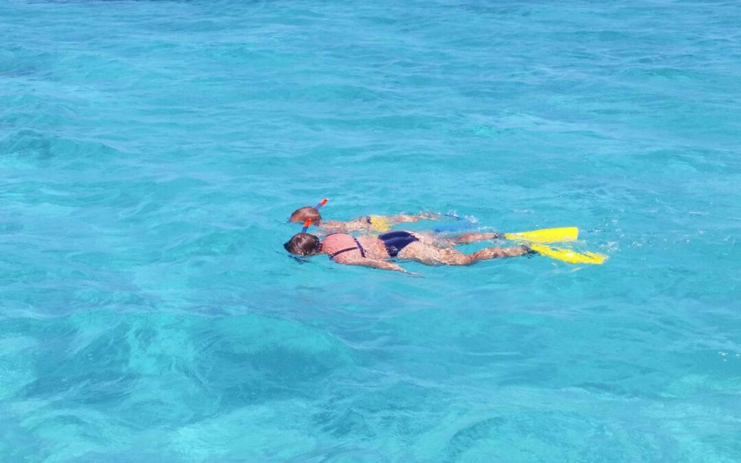 Futurismo Asinara bagno nelle acque del Parco