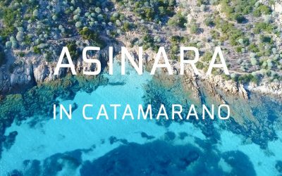 Promo Primavera 2018 Escursioni Asinara in Catamarano