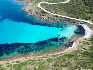 escursioni asinara in catamarano