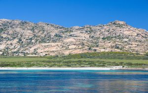 isola dell'asinara