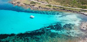 escursioni asinara in catamarano