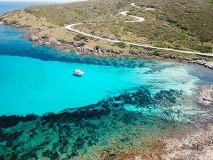 escursioni asinara catamarano