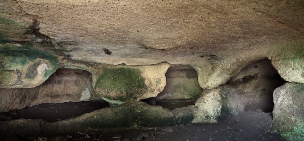 Domus de janas, Campo Perdu, Isola dell'Asinara