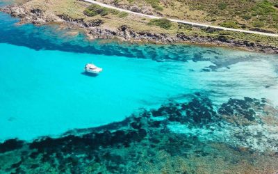 Cos’è la Visita Guidata Marina nel Parco Nazionale dell’Asinara?