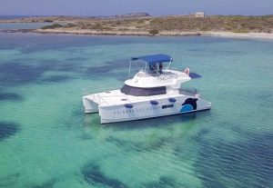 catamarano pelagos asinara