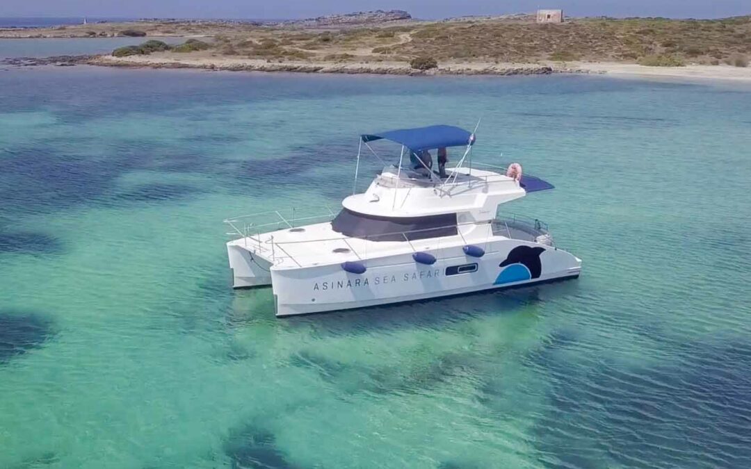 catamarano-pelagos-asinara