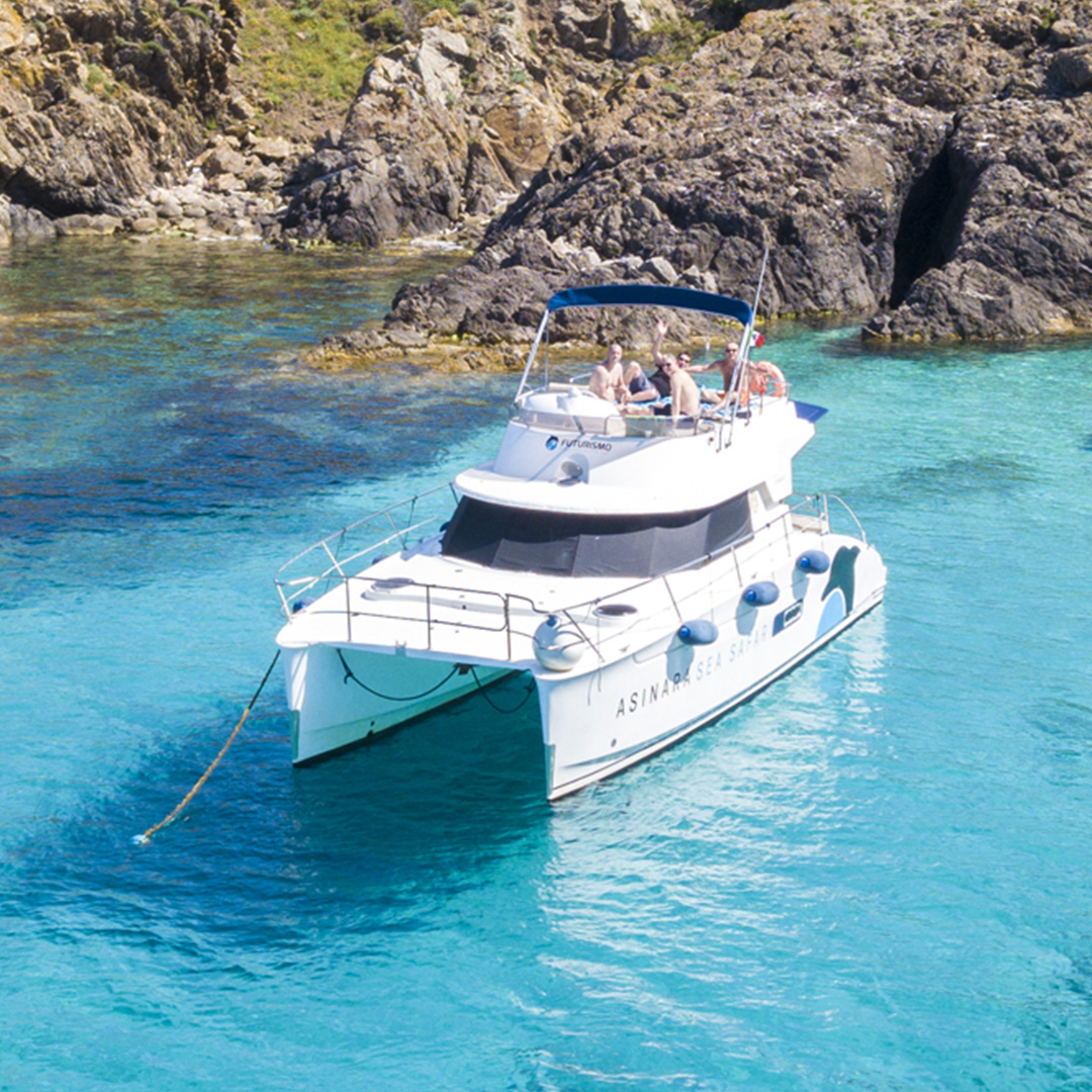 asinara escursioni catamarano