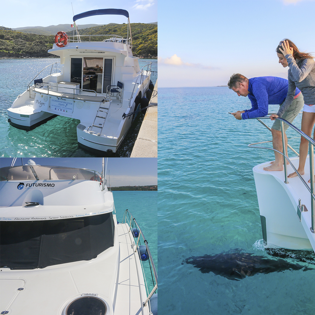 catamarano asinara spazi esterni